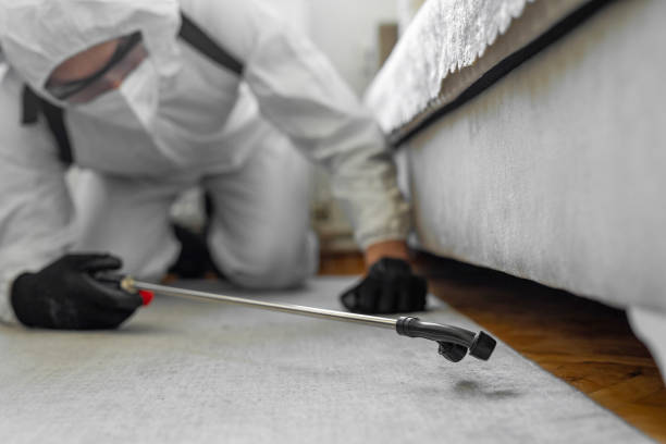 Professional Bed Bug Control technician working in Billington Heights, NY