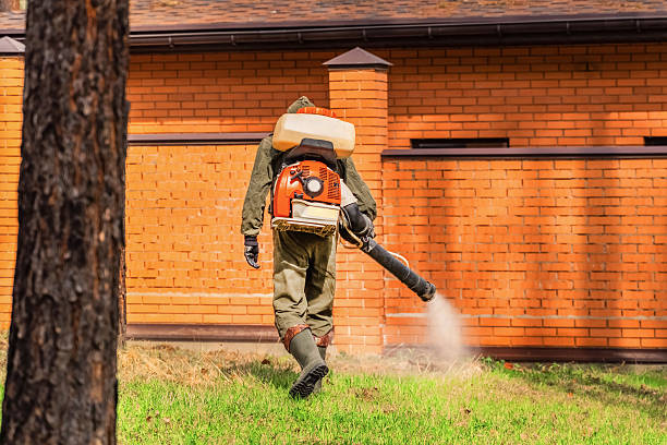Trusted Cockroach Control service in Billington Heights, NY - Nex Pest Control